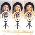 10" Selfie Ring Light With Tripod Stand, Dimmable Desktop LED Circle Light - Image 5